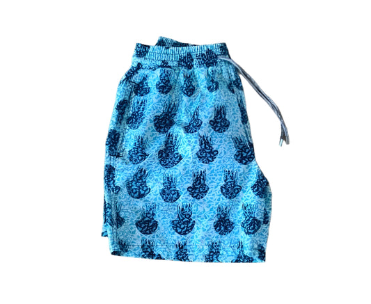 ШОРТИ VILEBREQUIN