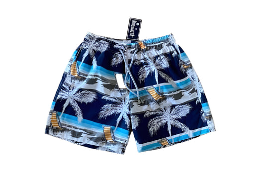 ШОРТИ VILEBREQUIN