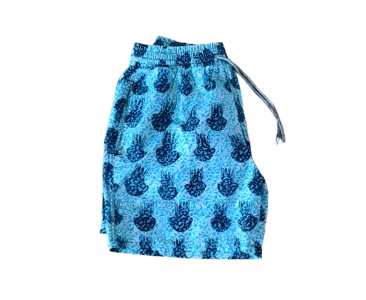 ШОРТИ VILEBREQUIN