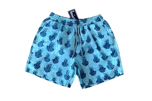 ШОРТИ VILEBREQUIN